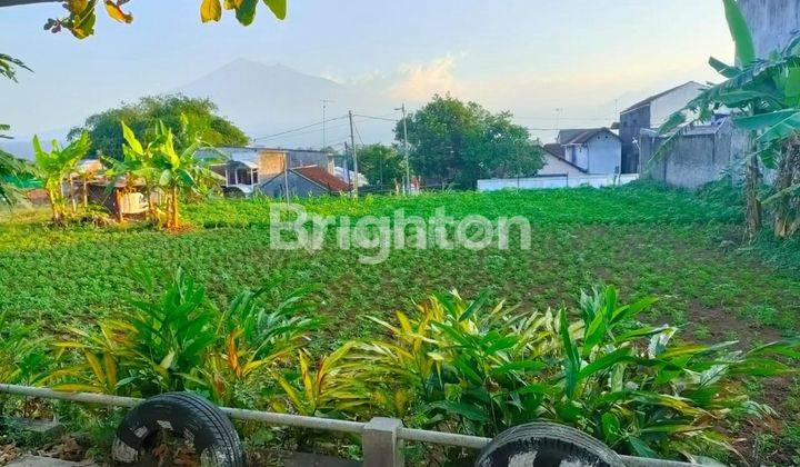 TANAH KAVLING SIAP BANGUN AREA SALATIGA JAWA TENGAH 2