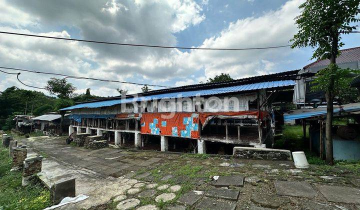 TANAH EX PETERNAKAN AYAM PETELUR DI JL SEDAP MALAM PASURUAN 1