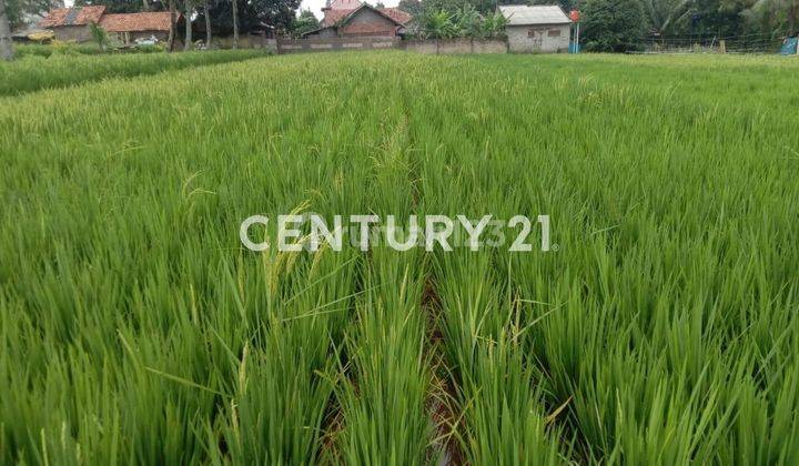 Tanah Free Bangunan Luas 3500 Meter Di Cibogo Purwakarta 2