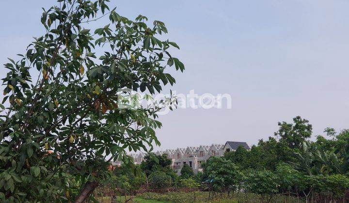 TANAH DIPINGGIR JALAN RAYA , 1