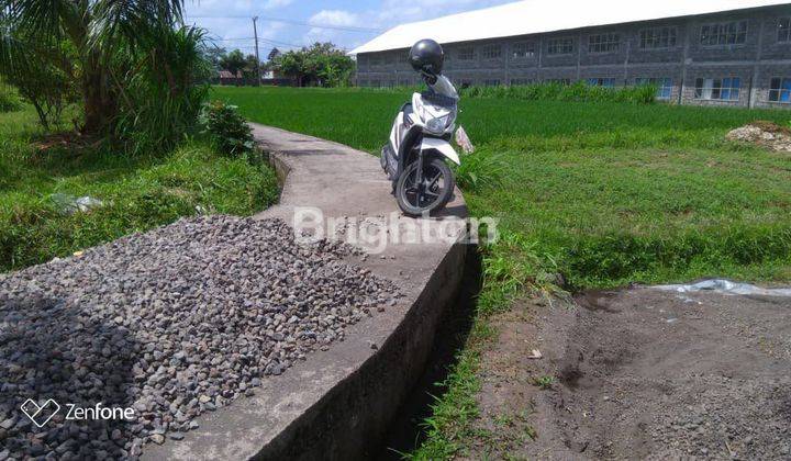 Land 10 acres in Marga, Tabanan 1