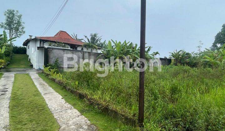 BEAUTIFUL LAND IN THE GREEN ZONE VILLA AREA, CANGGU - BALI 1