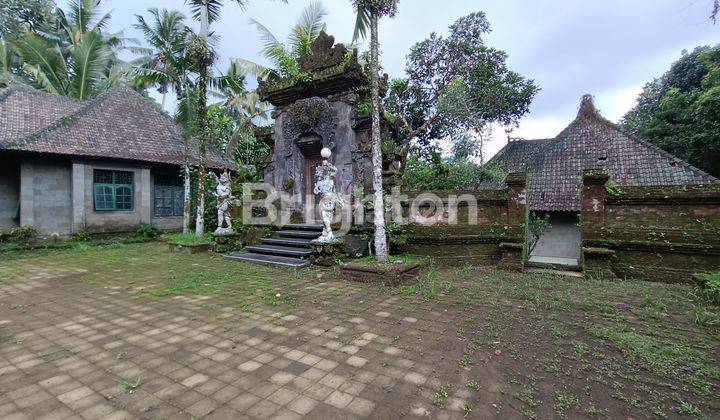 TANAH DENGAN BANGUNAN VILLA DI UBUD 1