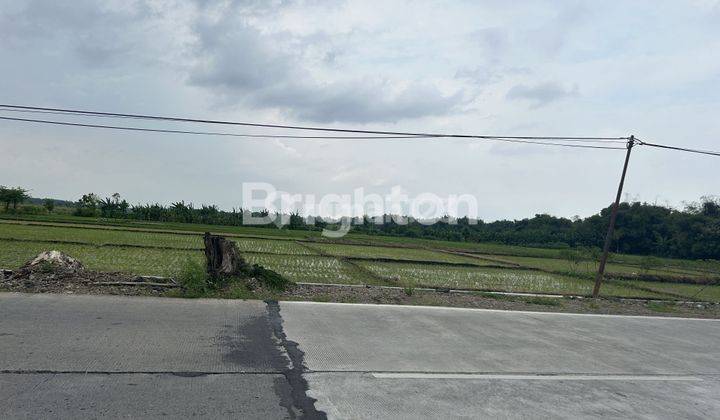 Tanah sawah 10 Hektar Lebar -+ 80 Meter Surat Campur 2