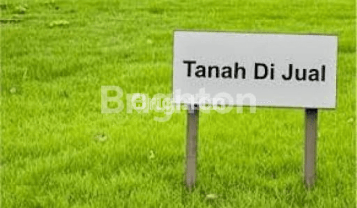 TANAH PURWODADI PASURUAN DI BAWAH HARGA NJOP, COCOK UNTUK GUDANG, PERUMAHAN DLL 1