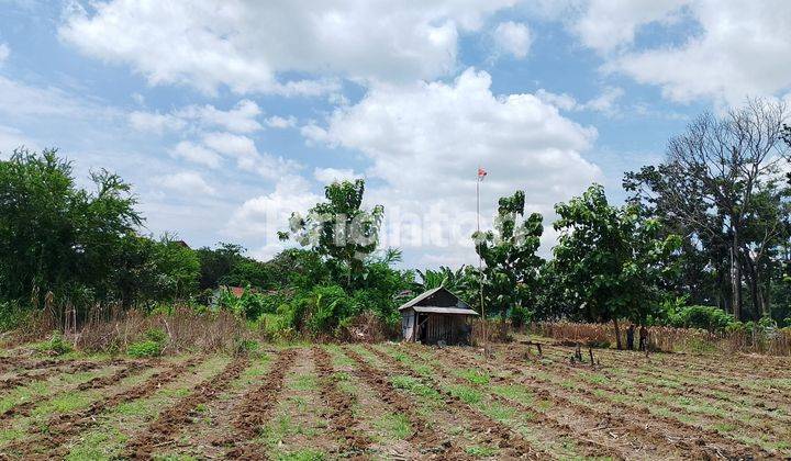 LAHAN KOSONG, COCOK BUAT USAHA, TANAH RATA, BIKIN GUDANG JUGA OK, SUMBERREJO, KALIWUNGU, KENDAL 1