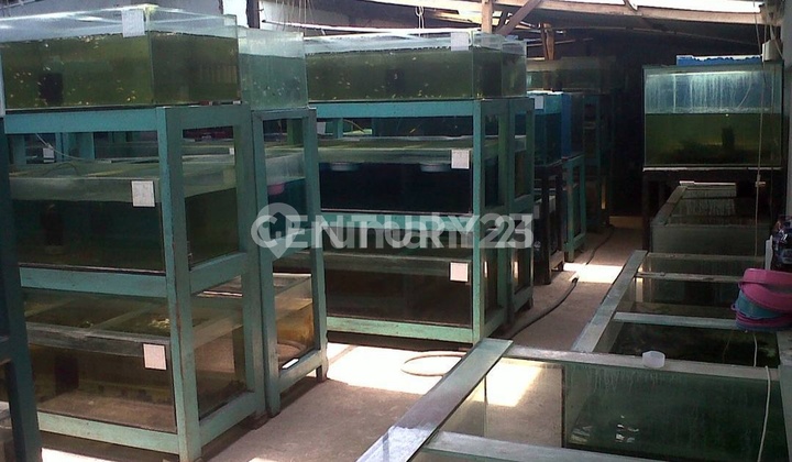 Tanah Dan Fasilitas Berupa Fish Farm Di Jalan Cibangbara Tanah Dan Fasilitas Berupa Fish Farm Di Jalan Cibangbara