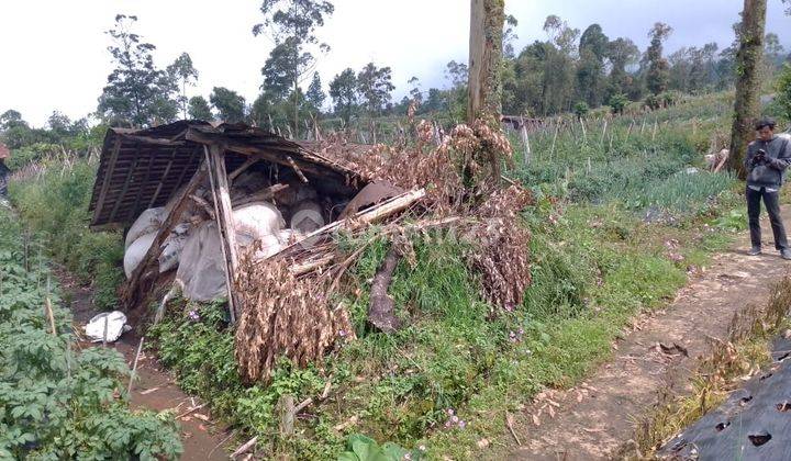 TANAH SOYI PEMALANG 35679 2