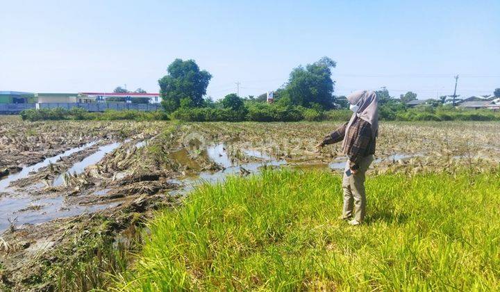 TANAH MANGUNREJO DEMAK 3994 2