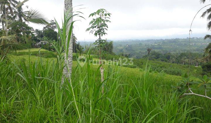 TANAH BELOK SIDAN BADUNG 9792 2