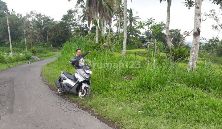 TANAH BELOK SIDAN BADUNG 44202 1