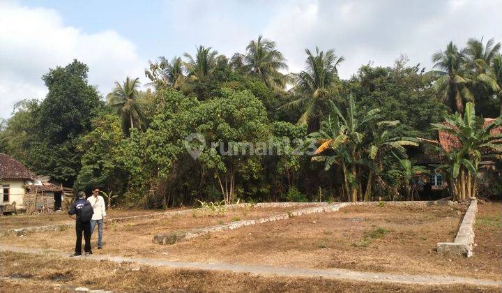 Dekat Bandara Nyia, Tanah Kulon Progo Murah, Yogyakarta 2