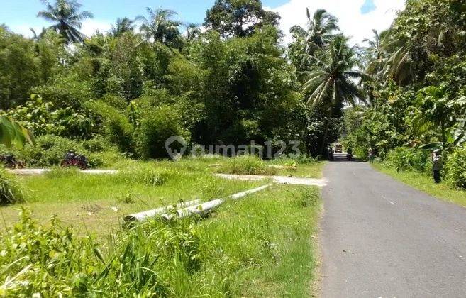 1jt-an Investasi Tanah Paling Untung 2