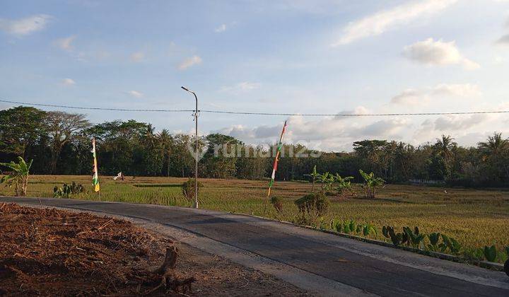 Barat Pasar Godean: Tanah Matang Siap Bangun 2