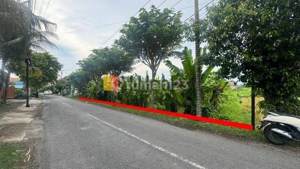 Land For Sale In Tumbak Bayuh Canggu Close to Pererenan Beach Suitable For Villa 1