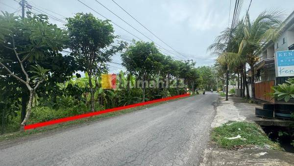 Land For Sale In Tumbak Bayuh Canggu Close to Pererenan Beach Suitable For Villa 2