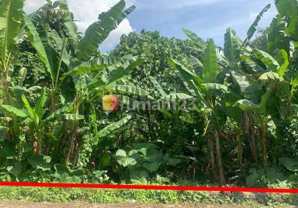 Land In Quiet Area Subamia Tabanan Close To Tabanan City Suitable For Housing Area