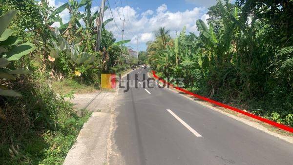 Land In Quiet Area Subamia Tabanan Close To Tabanan City Suitable For Housing Area 2