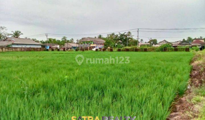 tanah di banten dapat akses langsung ke pantai, sangat cocok untuk para developer 2