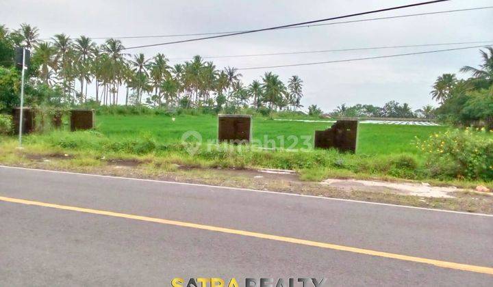 tanah di banten dapat akses langsung ke pantai, sangat cocok untuk para developer 1