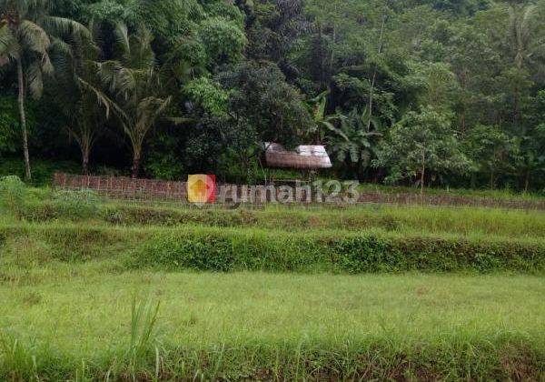 Land in Bukit Korea Lombok Barat Suitable for Plantation or Investment 2