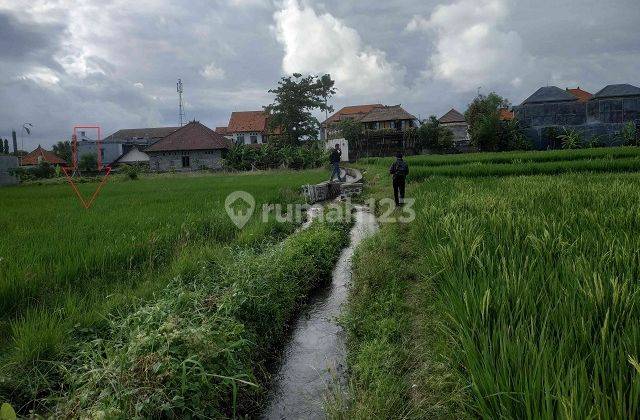 TANAH KESIMAN KERTALANGU DENPASAR 70993 2