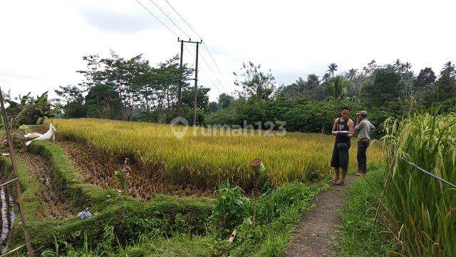 TANAH JATILUWIH TABANAN 71025 2