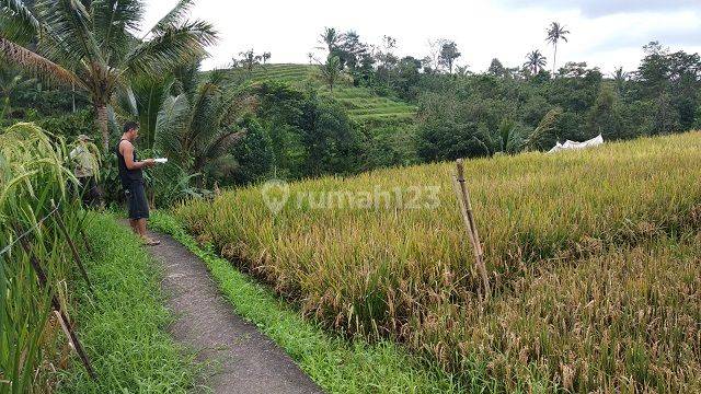 TANAH JATILUWIH TABANAN 71025 1