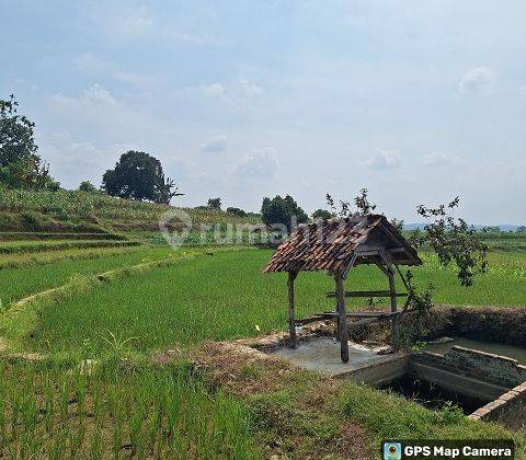 TANAH SOKOGUNUNG TUBAN 67667 2