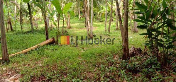 Land In Pekutatan Jembrana Walking Distance To Pangkung Jukung Beach 2