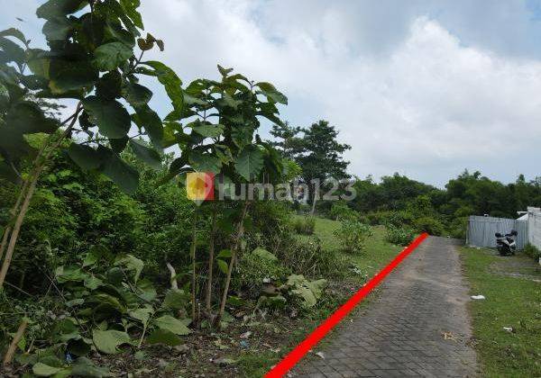 Land in Quiet Area Ungasan South Kuta Close to Udayana University and Garuda Wisnu Kencana 2