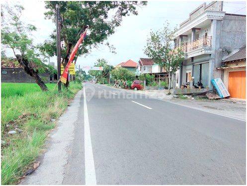 Tanah Dekat UMY dengan Potensi Pengembangan 1