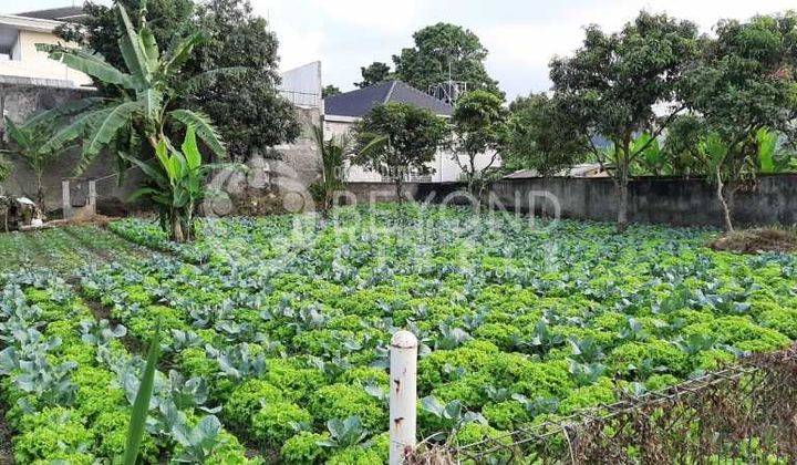 Kalo Bangun Perumahan Cocok Bingits,di Setrasari,pasteur Bandung 2