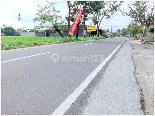 Tanah Strategis Dekat Kampus UMY Jogja 1