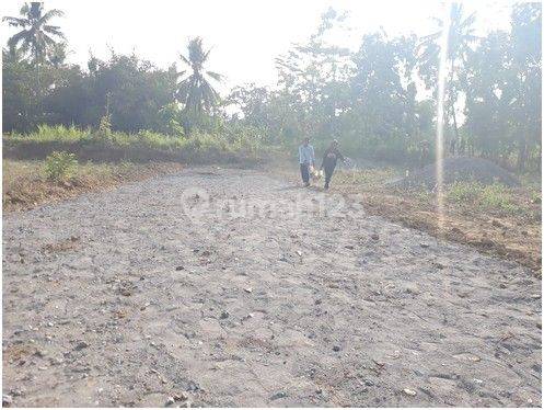 Tanah Pekarangan Dekat Bandara Internasional Yogyakarta 2