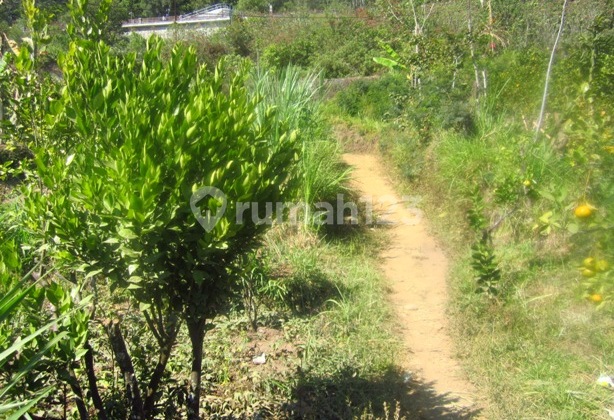 Tanah Di Jual Cepat Harga Bisa Nego 1