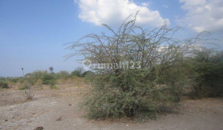 Land For Sale Good For Hotel 2