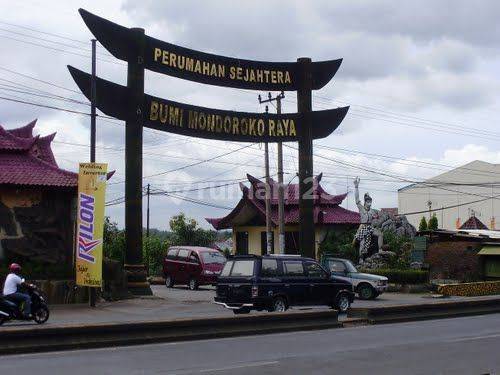 Sawah Di Mondoroko Singosari Malang 2