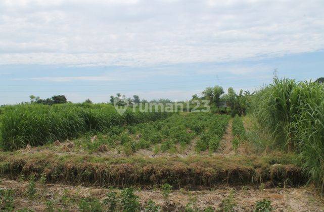 Tanah Di Jual Cepat 1