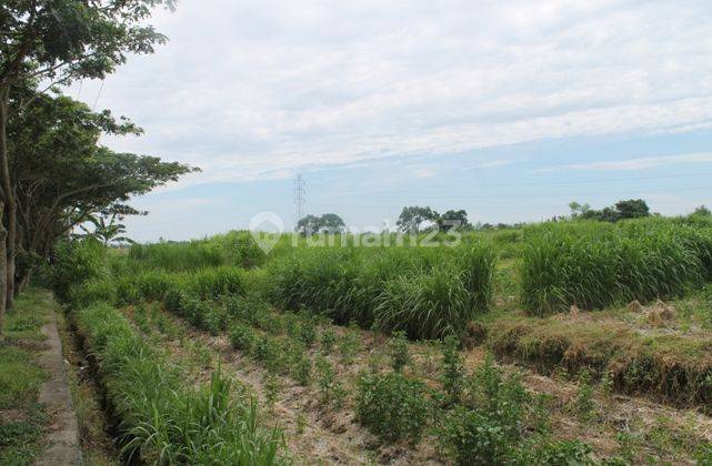 Tanah Di Jual Cepat 2