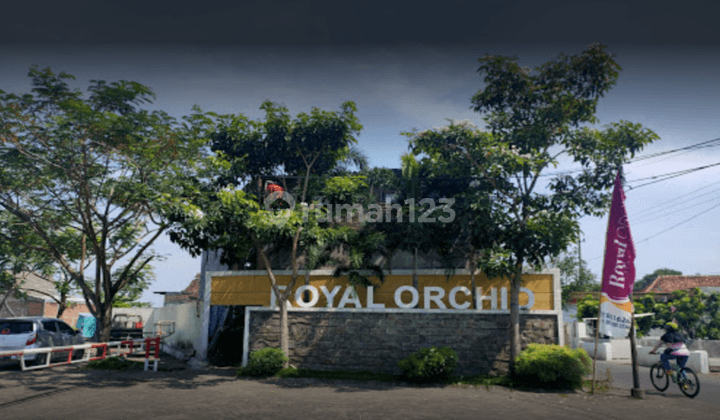 Royal Orchid Sidoarjo