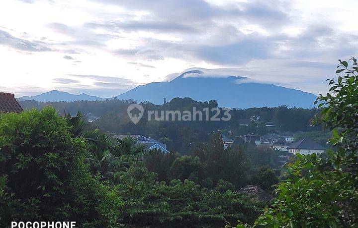 Rumah cluster country Wood kawasan argenia sentul city