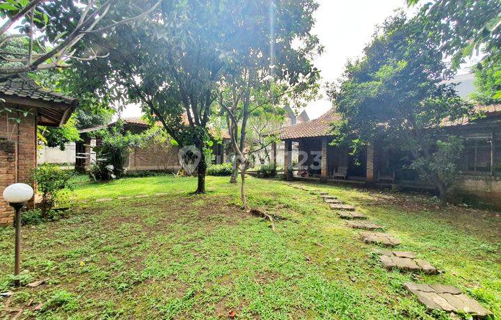 Rumah Asri Artistik Murah Jl. Palem Puri, Pondok Aren, Tangerang Selatan 