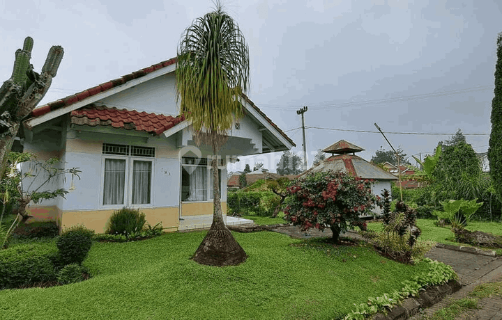 Villa Galaxy Resort Di Cipanas Cianjur Jawa Barat