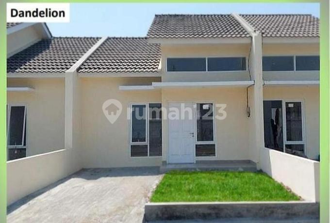 Griya Candra Mas Sedati Juanda, Dp Bisa Di Cicil Angsuran 3 Juta Griya Candra Mas Sedati Juanda, Dp Bisa Di Cicil Angsuran 3 Juta