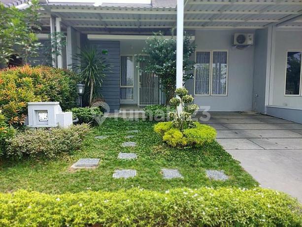 Rumah 1 Lt Cluster Abira Suvarna Sutera Tangerang y00125 Rumah 1 Lt Cluster Abira Suvarna Sutera Tangerang y00125