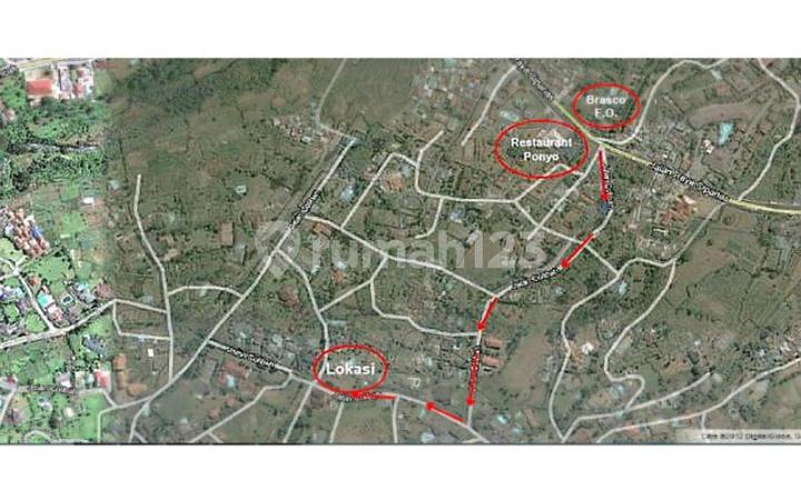 VIlla Cantik, Luas dan Asri (Posisi di Hoek Jalan) di Coolibah, Puncak, Bogor VIlla Cantik, Luas dan Asri (Posisi di Hoek Jalan) di Coolibah, Puncak, Bogor