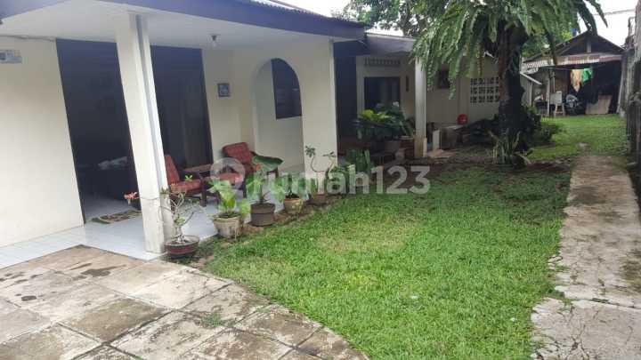 Rumah Cagar Alam Depok Dengan Tanah Luas Dijual Cepat Rumah Cagar Alam Depok Dengan Tanah Luas Dijual Cepat