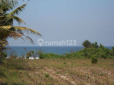 Beach Front Land