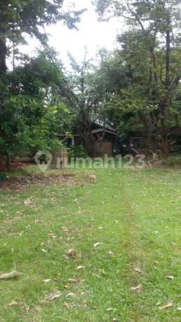 Lot... elevated land... close access... good price... clear documents.